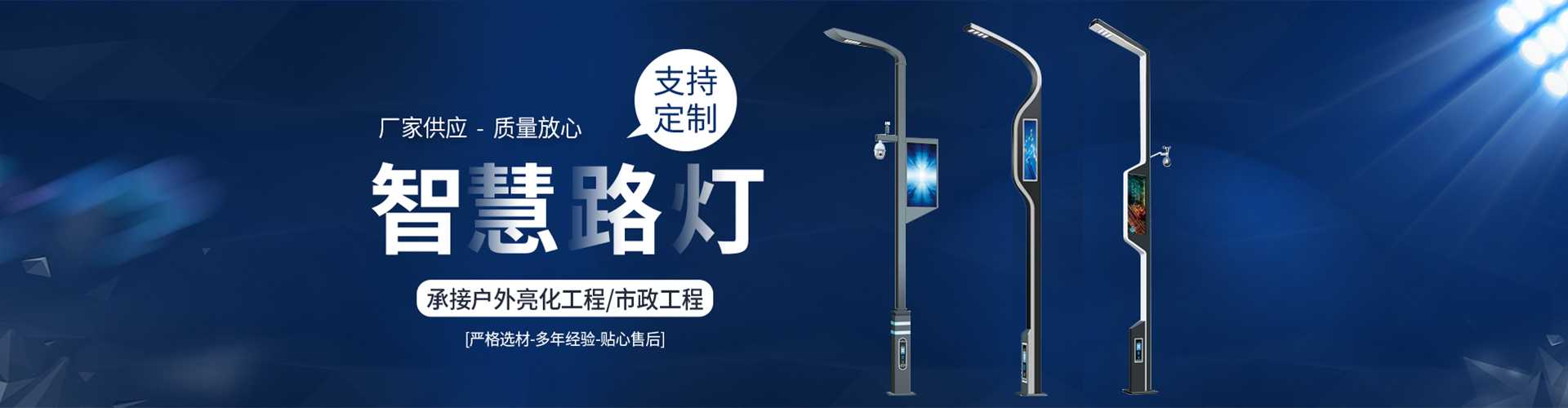 扎囊县太阳能路灯定制厂家