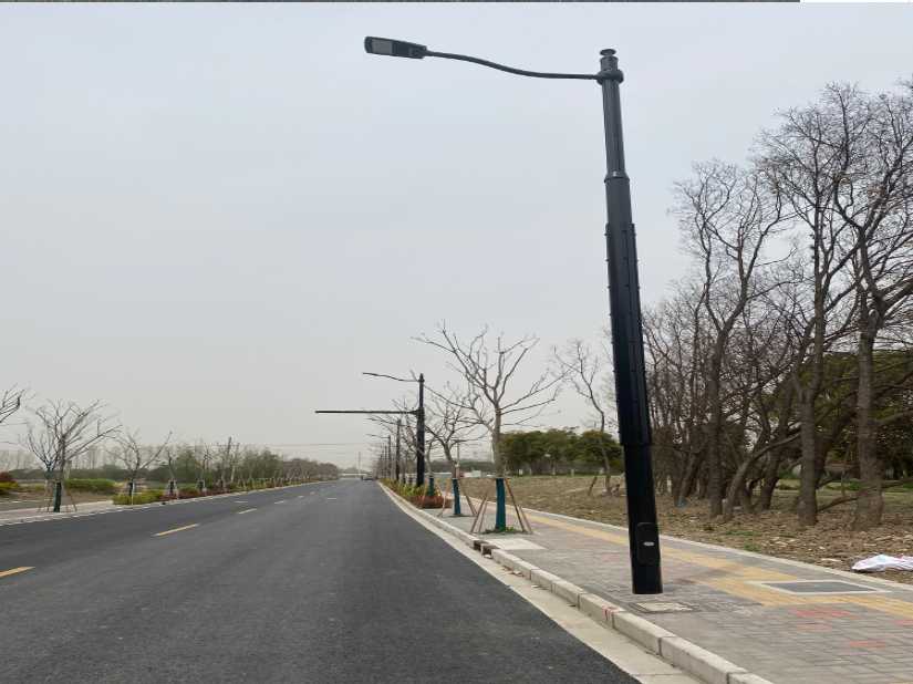 扎囊县上海综合杆 太阳能路灯工程